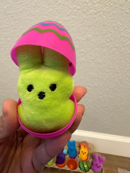 Easter Egg with Plush Bunny