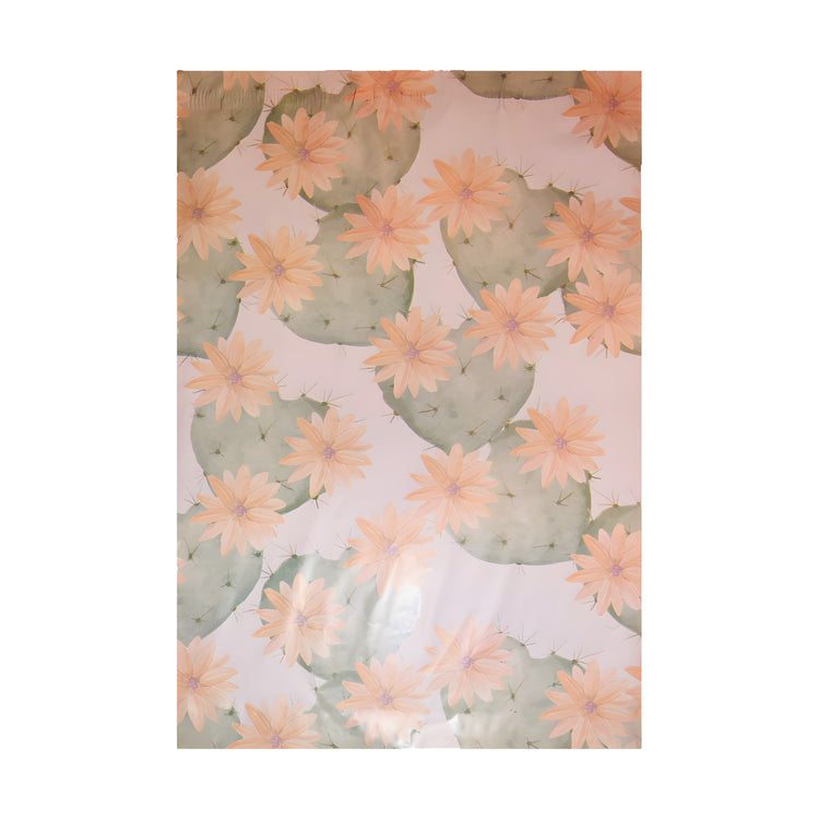 Flowering Cactus polymailer 14 x 17, sage cactus with peach flowers