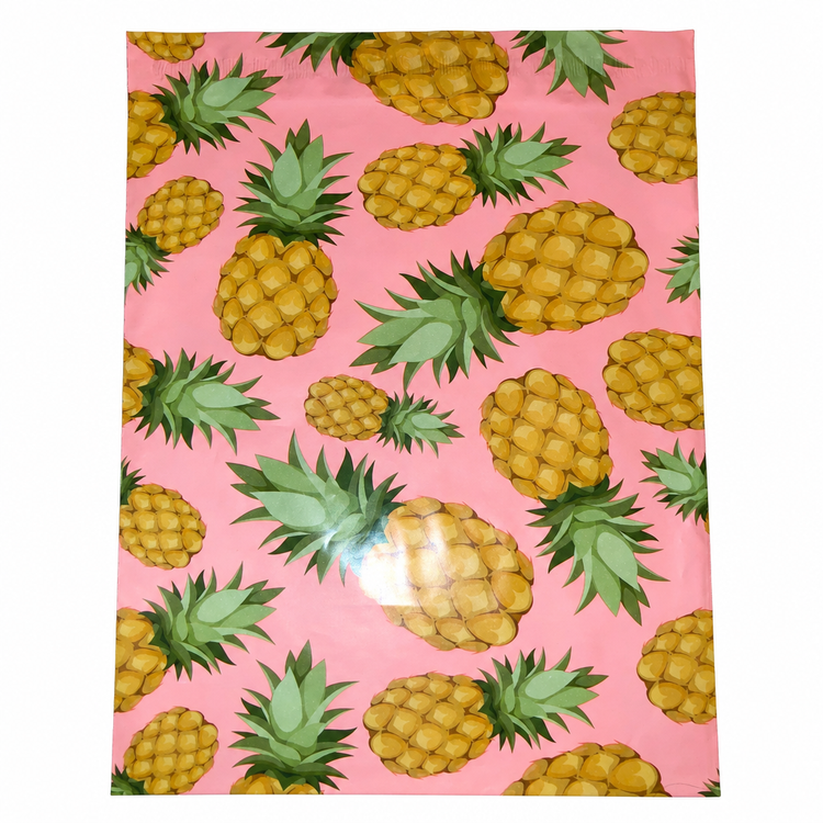 Pineapple polymailer on plain white