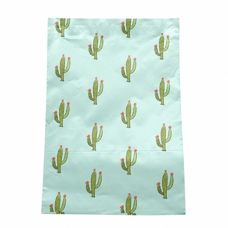 Cactus polymailer centered on white background