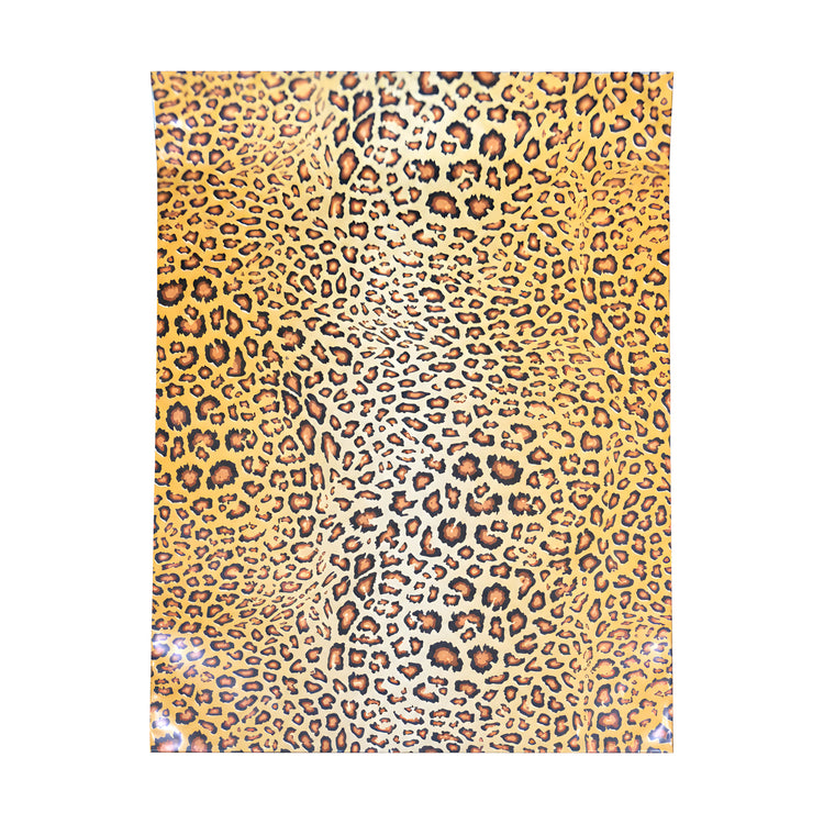 Leopard polymailer 10 x 13 centered on white