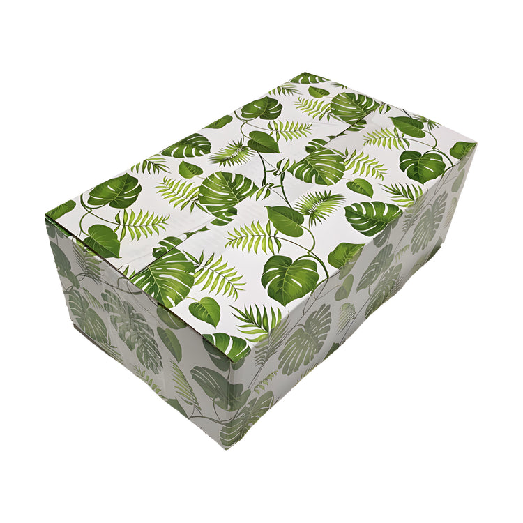 Monstera Box 10 x 6 x 4 (Pack of 10)