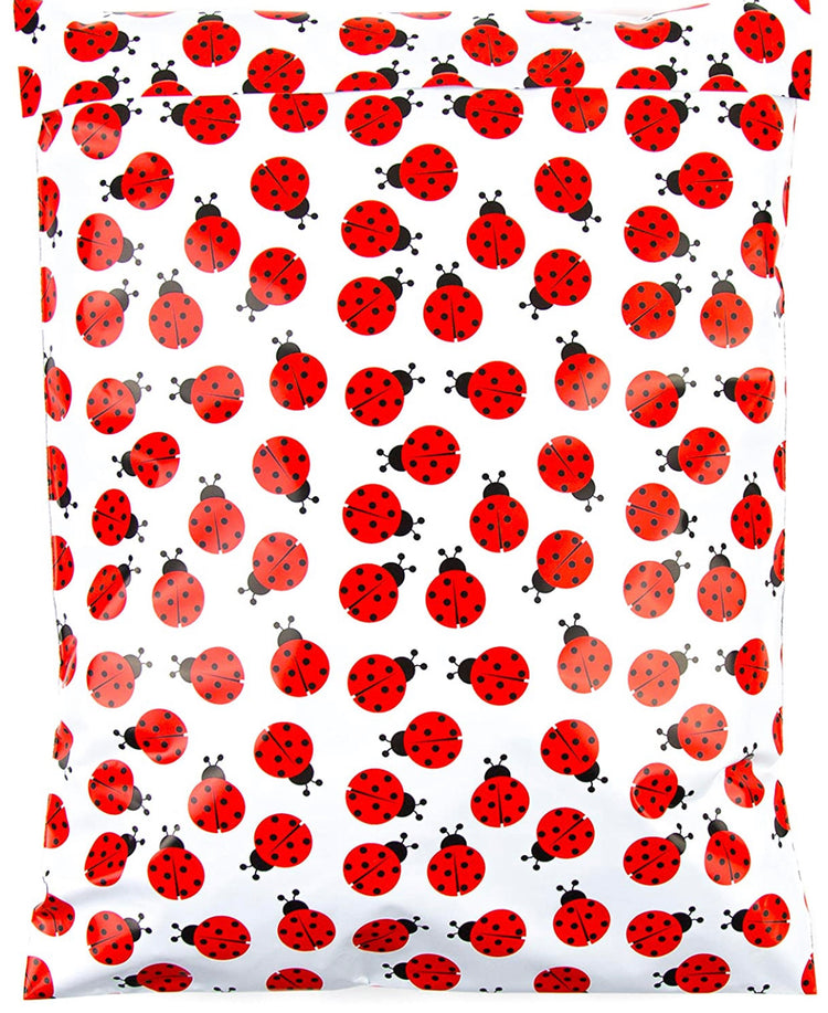 LadyBug2 10 x 13