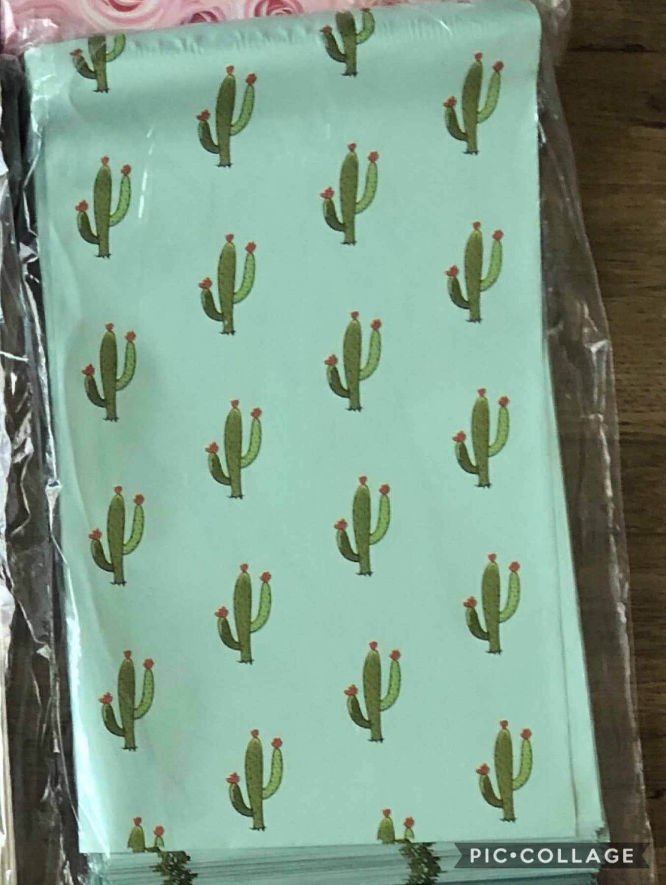Cactus 6 x 9