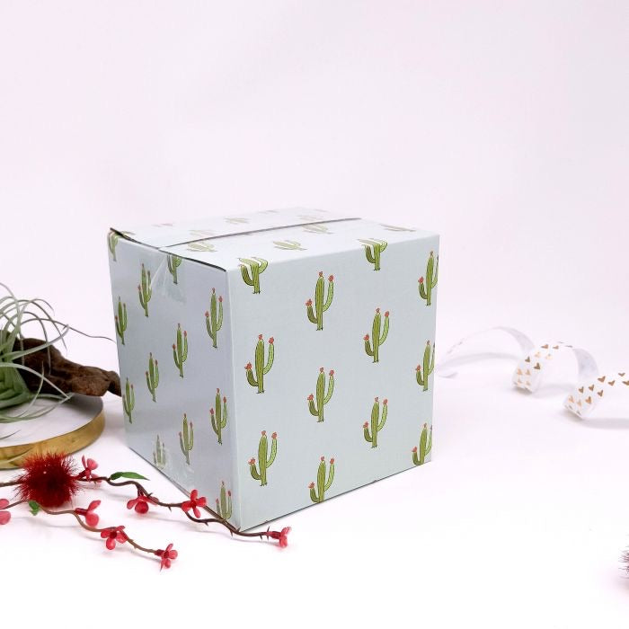 Cactus Box 5 x 5