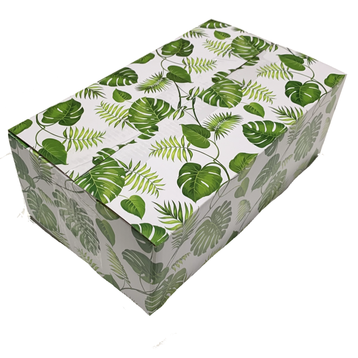 Monsterra Box 10 x 6 x 4