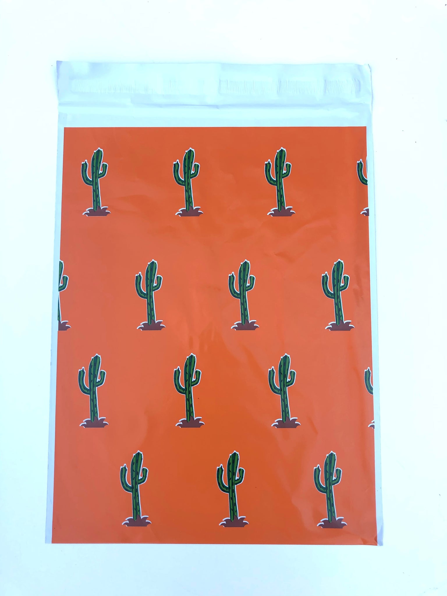 Orange Cactus 10 x 13