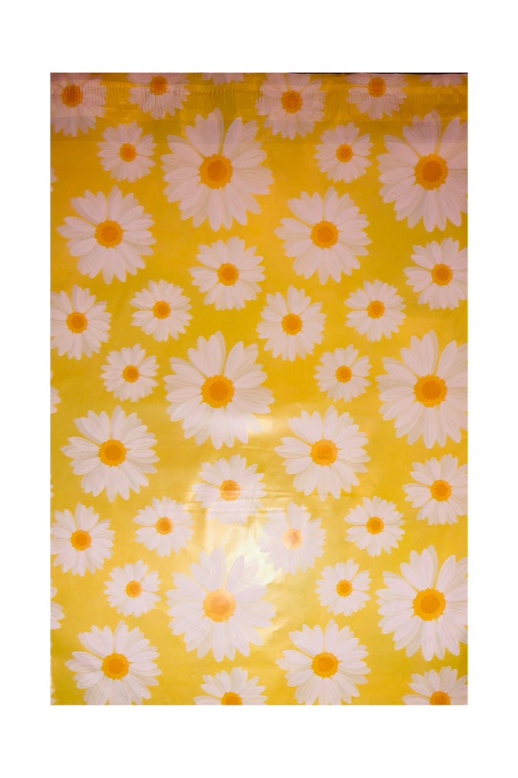 Daisy 10 x 13