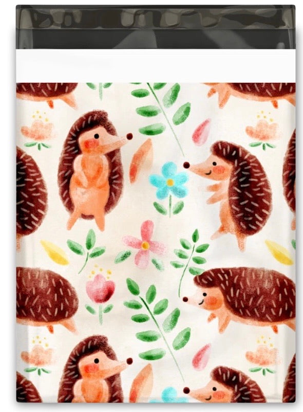 Hedgehog 10 x 13