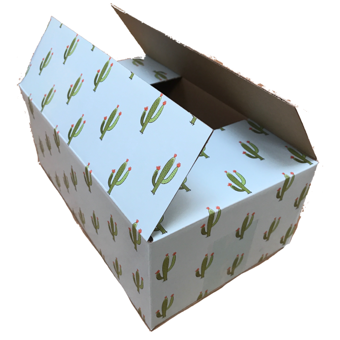 Cactus Box 10 x 6 x