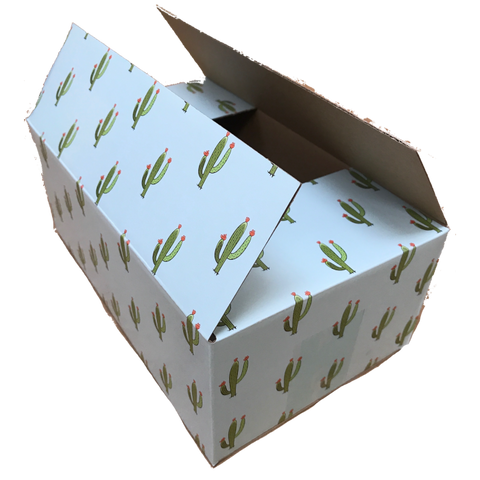 Cactus Box 10 x 6 x