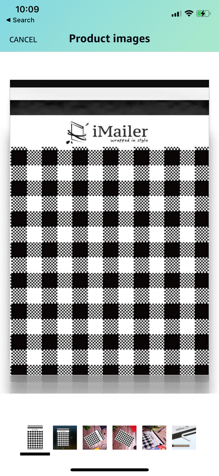 Gingham Plaid Polymailer 6 x 9 (Pack of 10)