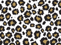 Leopard2 Tissue Paper ( 10 pcs)