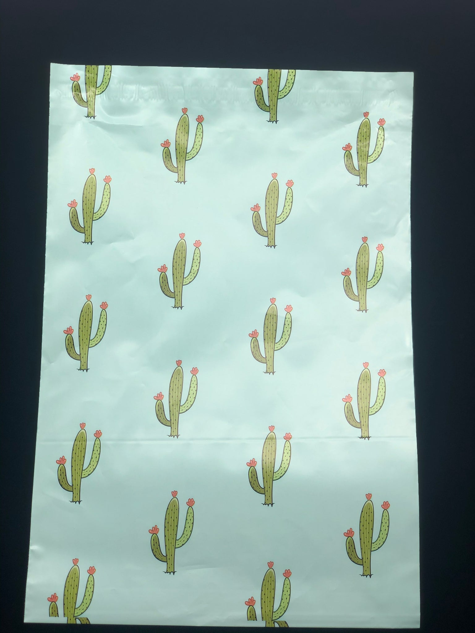 Cactus 10 x 13